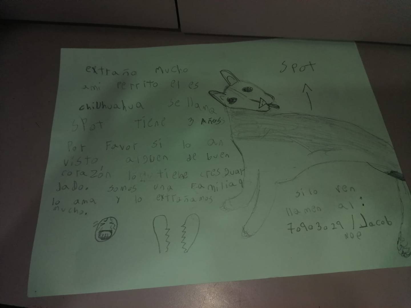 Niño hace un dibujo para encontrar a su perro perdido. Foto cortesía Ileana Ramos.