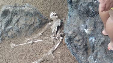 Turistas hallan esqueleto humano en playa de bahía Drake, Osa 