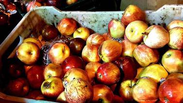 Ojo las manzanas que vendían en las calles de Chepe