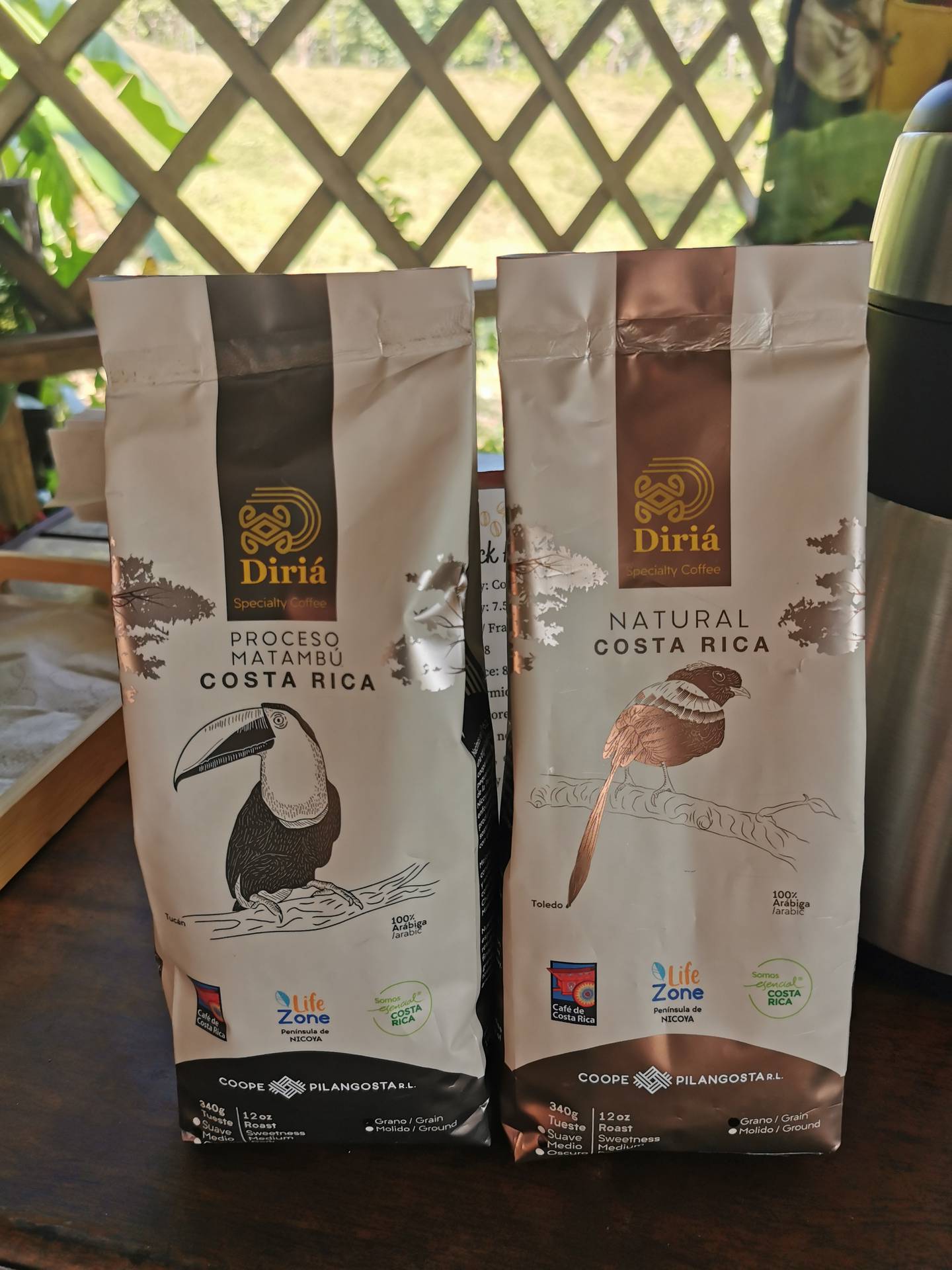 El sabor y la calidad del “café especial” que cultivan 90 caficultores de la cooperativa Coopepilangosta en Hojancha, Santa Cruz y Nicoya cautivó el paladar de compradores en Holanda y Corea del Sur