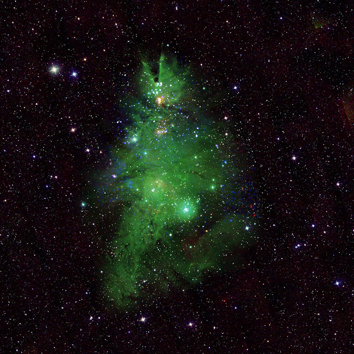 La NASA compartió la imagen de un cúmulo de estrellas jóvenes denominado NGC2264, mejor conocida como cúmulo de "Árboles de Navidad".