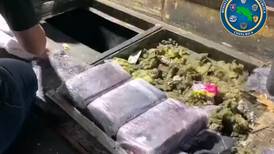 15 kilos de coca apagan alegría de excursión guatemalteca  