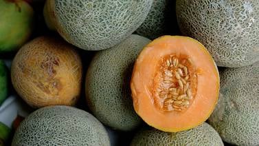 Medio alemán evidencia exceso de plaguicida cancerígeno en melones y comida ticos  
