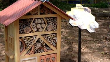 Hoteles para abejas tienen todas sus habitaciones ocupadas al 100%