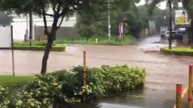 (Videos) Inundaciones y ganado arrastrado por las fuertes lluvias en el Pacífico