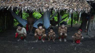 Coronavirus: Un indígena de una tribu aislada de Brasil muere y temen miles de contagiados