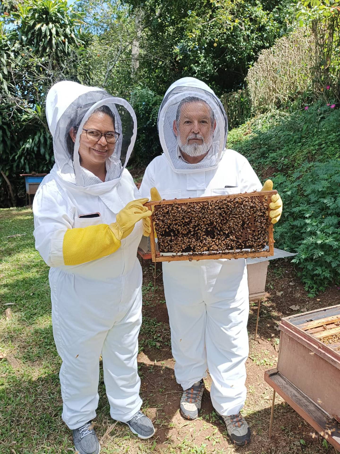 El tour de las abejas es en San Ramón. (Cortesía)