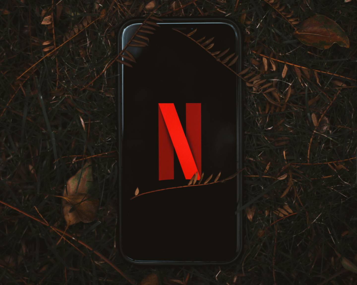 Netflix se ha vuelto cada vez más discreto en cuanto a sus número internos. Foto: Muaaz/Pexels