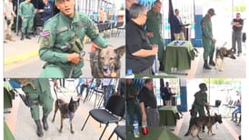 ¡Buen trabajo! Cuatro policías caninos de fronteras se pensionaron 