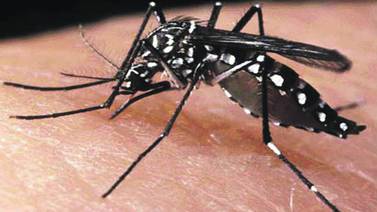 Masivo vuelo en guerra contra dengue y zika en Río de Janeiro