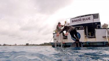 (Video) Locura y media: Michael Phelps retó en el mar a un tiburón blanco