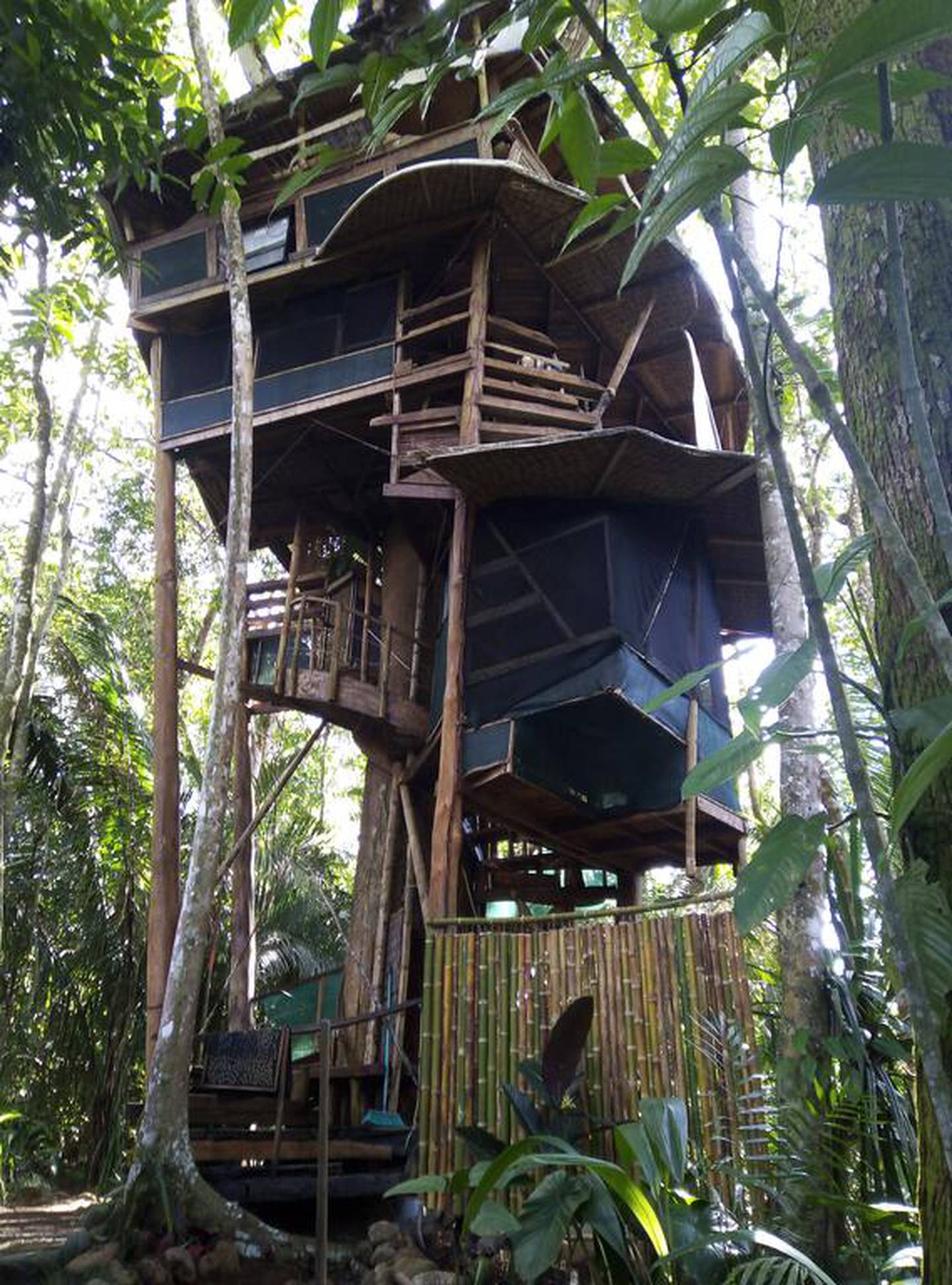 El estadounidense Michael Cranford se vino hace 20 años para Costa Rica y construyó una casa en un árbol en la península de Osa. Se quemó (hartó) de su trabajo y renunció.