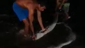 (Video) Dos jóvenes jacobeños rescataron un delfín varado en la playa