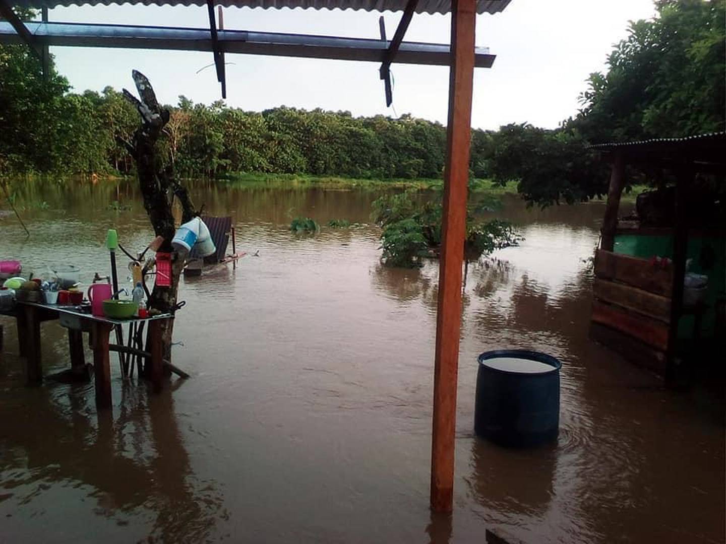Afectaciones provocadas por la influencia de la tormenta tropical Marco. Foto Guana Noticias.
