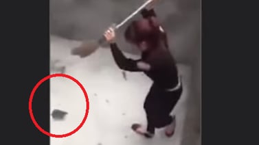 (Video) Vea como esta mujer se enfrenta a una rata gigante
