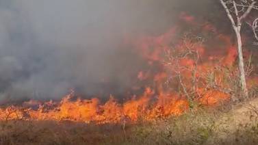 Bomberos tratan de apagar el primer incendio forestal del año
