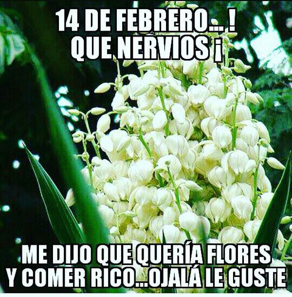 Los Memes Mas Divertidos Por El Dia Del Amor Y La Amistad La Teja