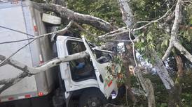 Verdulero se durmió al volante y chocó contra árbol en Guanacaste