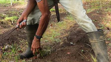 Costa Rica, país con esclavitud: ONU le tira duro al ministerio de Trabajo
