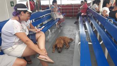 Ferry de Paquera sin servicio el próximo martes 24 de julio