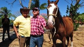 Le presentamos a 'Cardenal', el caballo que enfrentó a Piza y al doctor Rodolfo Hernández