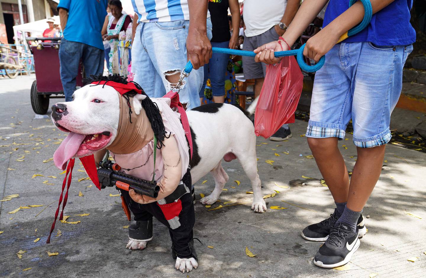 Cientos de perros vestidos como humanos fueron llevados por sus dueños este domingo a una iglesia de Nicaragua para agradecer favores a San Lázaro, en una tradición católica de hace más de un siglo.