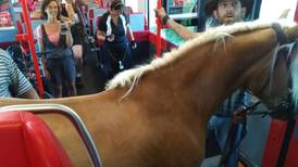 Joven se encarama en un tren con todo y caballo