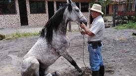 Cañero sobre domador asesinado: “Era el hacedor de caballos de Siquirres con más experiencia”