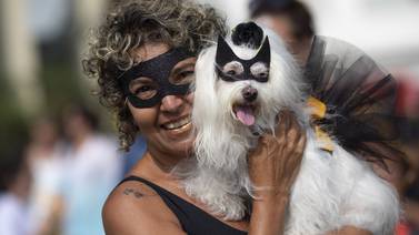 (Fotos) Perros celebran carnaval de Río de Janeiro con ropa bien sexi