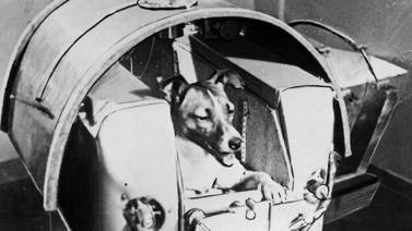 Laika inmortal. Se cumplen 60 años del viaje de la primera perrita al espacio