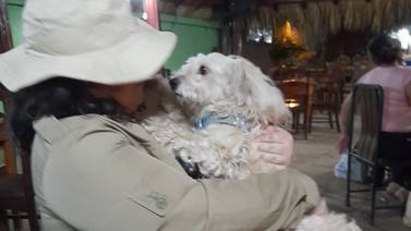 Luno, el perro que salió de Costa Rica hacia España, lleva 117 días encarcelado