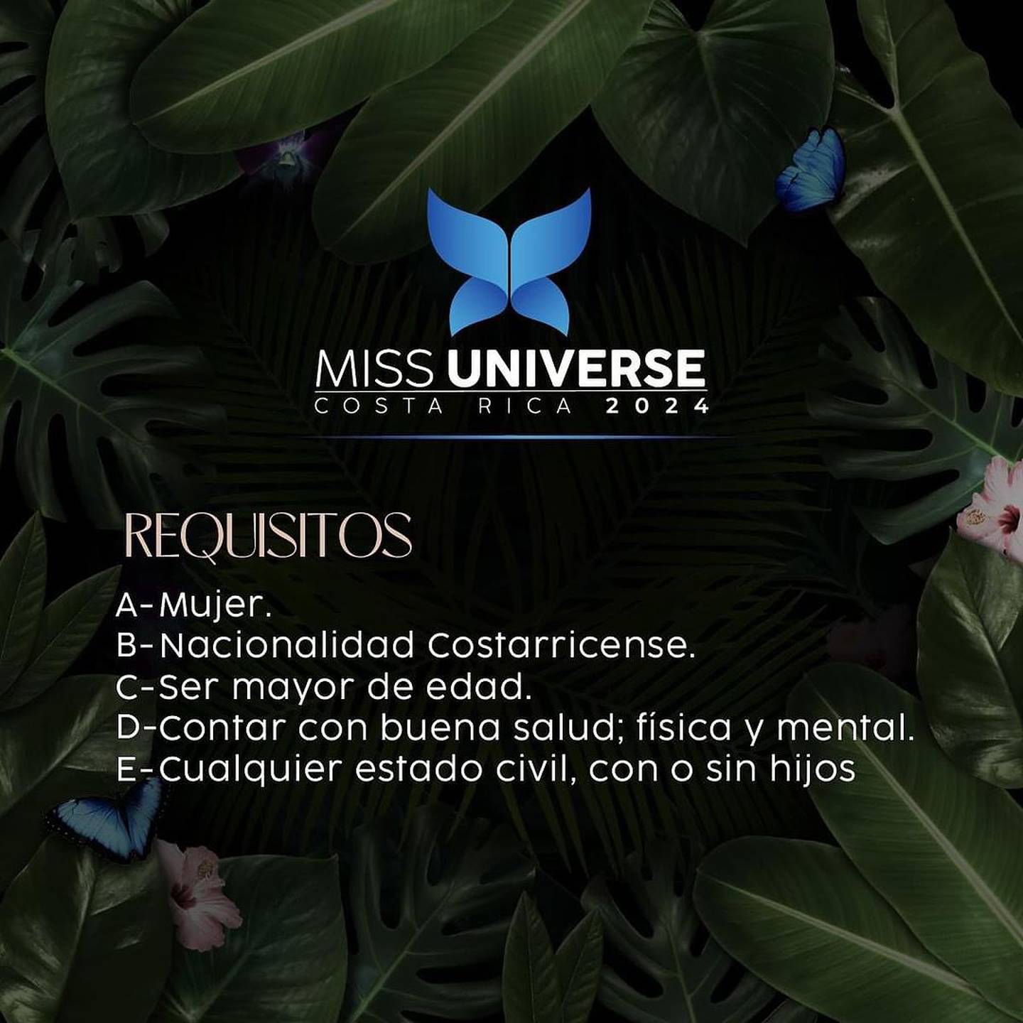 Requisitos para Miss Universe 2024 de parte de la organización de ¡Opa!.