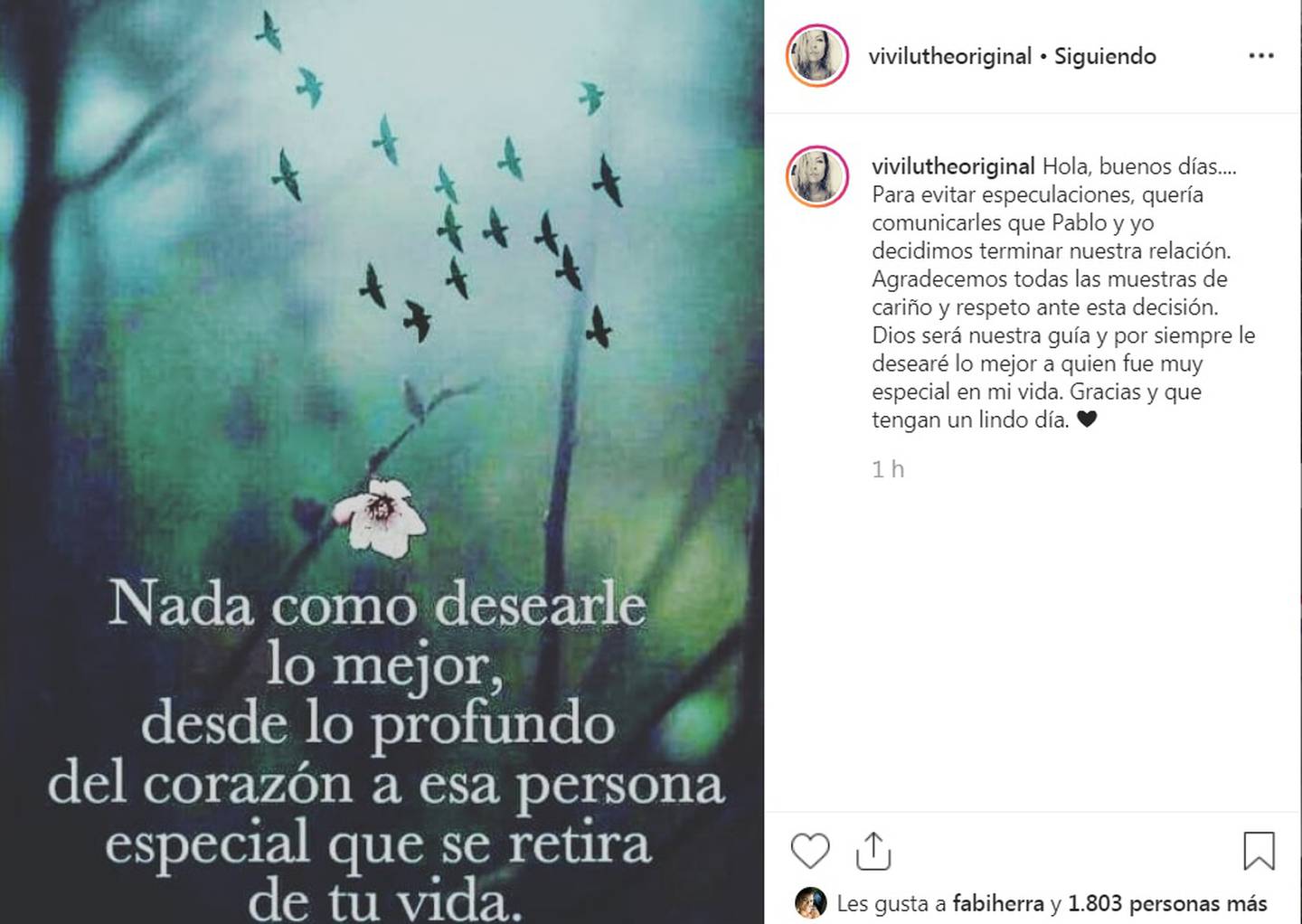 Se acabó el amor entre Viviana Calderón y Pablo Rodríguez