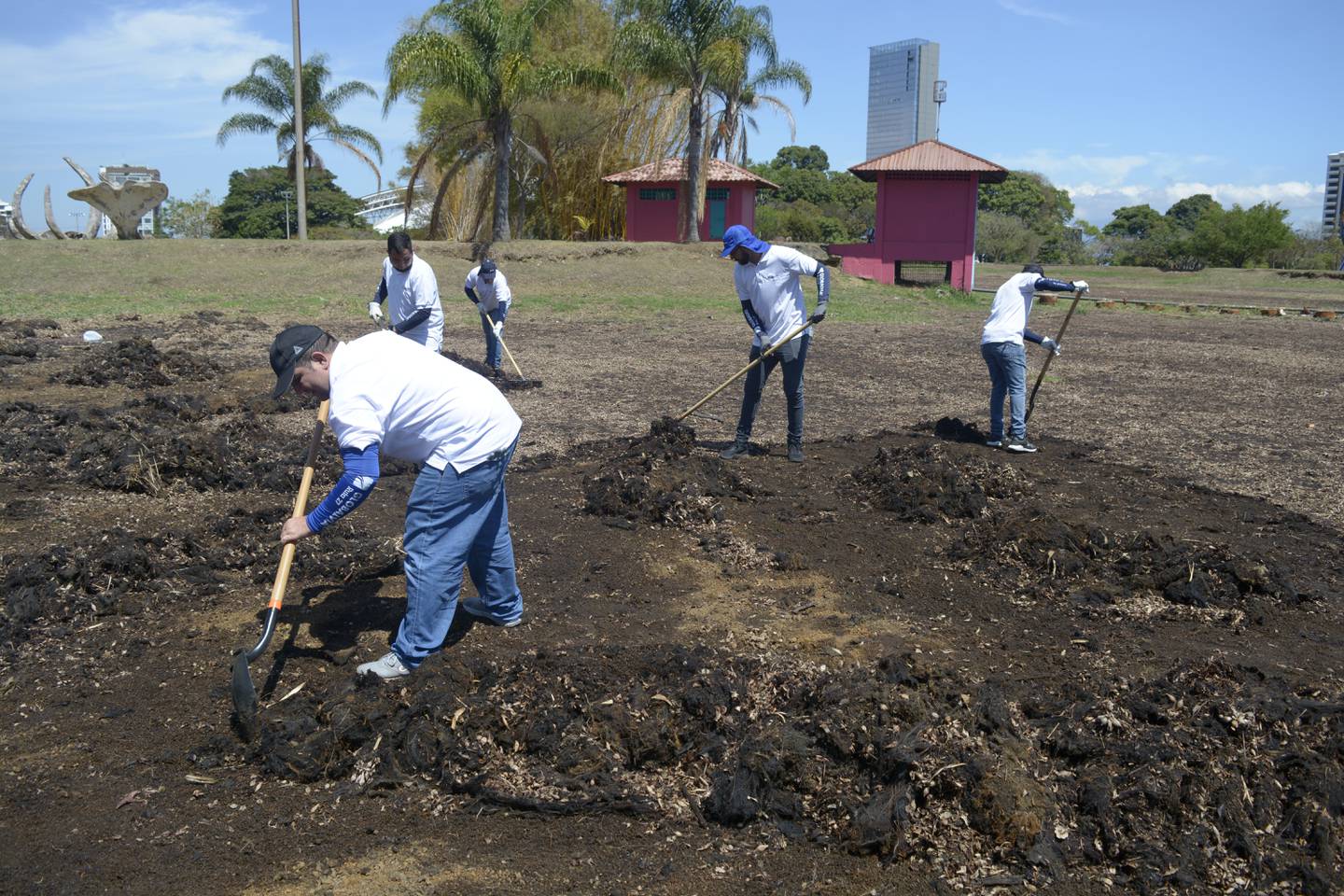 Un grupo de más de 20 personas iniciaron temprano las labores de limpieza en La Sabana, el 6 de abril, con el objetivo de chaniar el lago para evitar que se seque durante el verano.