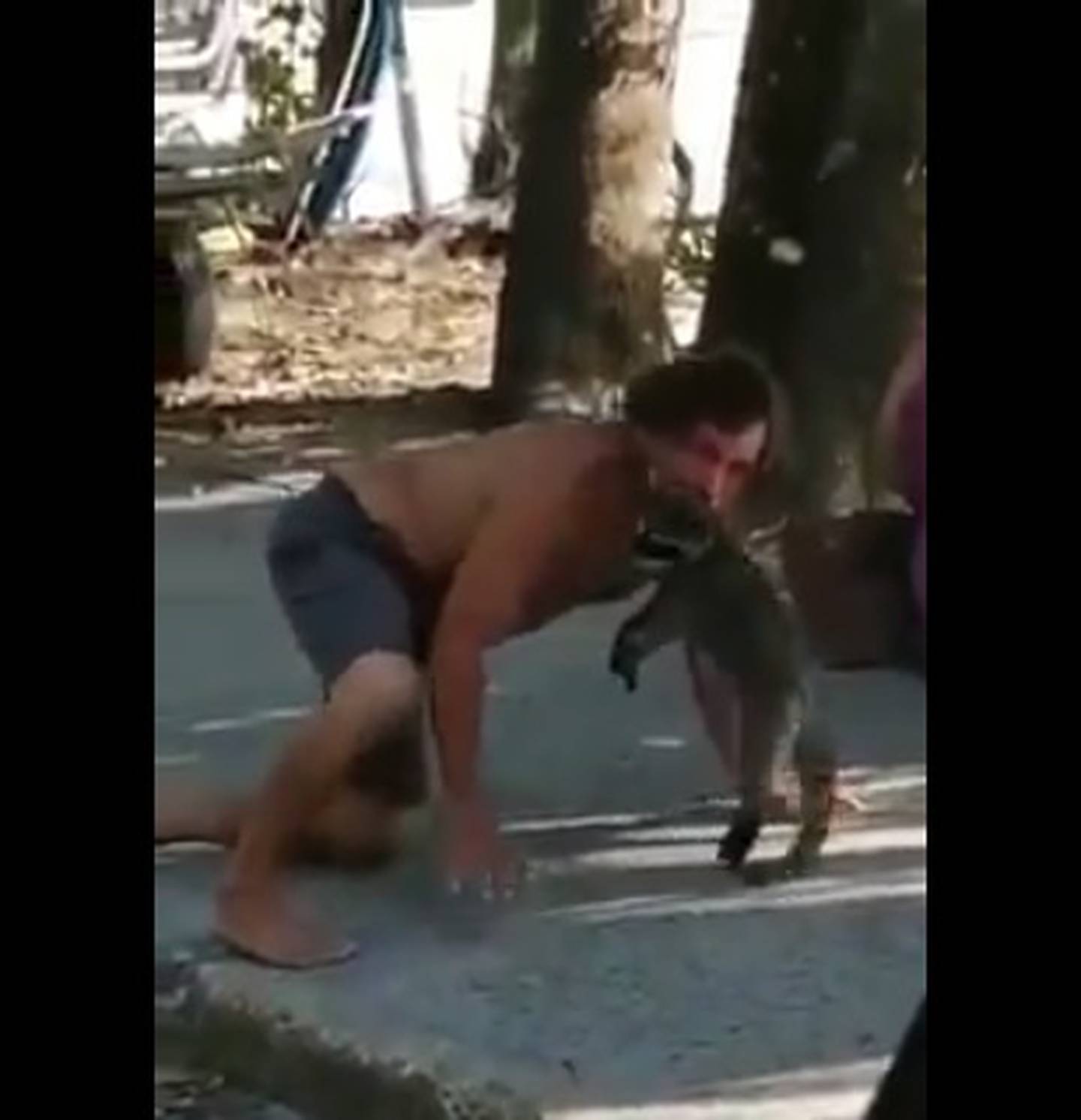 Sinac denunciará a hombre que pretendía comerse un mapache en Manuel Antonio, Quepos. Captura de video.