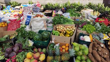 Mercados municipales de San José se unen en Semana Semana por una gran causa