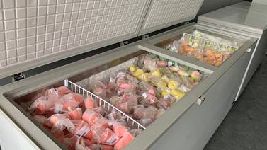 Pulseadores ofrecen la oportunidad de vender sus deliciosos helados