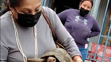 Gracias a La Teja recuperan tortuga que les dieron hace 41 años como regalo de boda (video) 