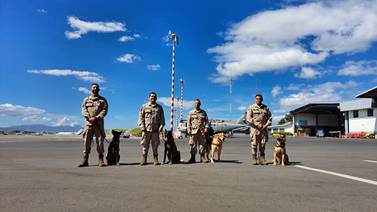 Cuatro oficiales caninos cuelgan sus placas tras participar en más de 4.500 acciones operativas