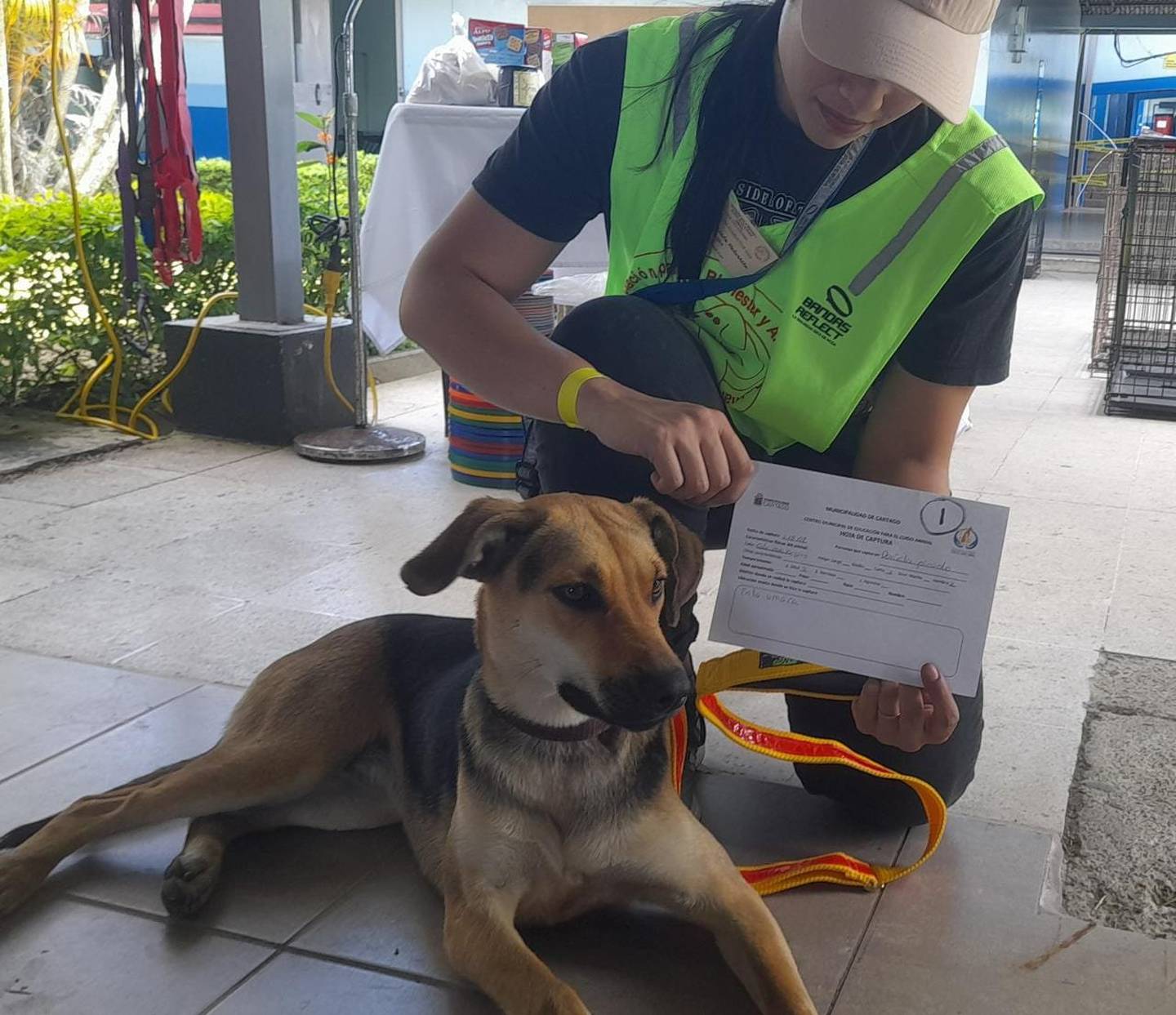 Hasta este medio día del 1 de agosto del 2022, la Asociación Para el bienestar y Amparo Animal, confirma que se han capturado cuatro perros a personas que los llevaban caminando en la romería hacia Cartago