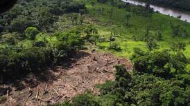 Nicaragua soltó la harina por los daños a isla Calero