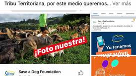 Grupos de rescate animal alertan sobre página que usa sus nombres para pedir donaciones