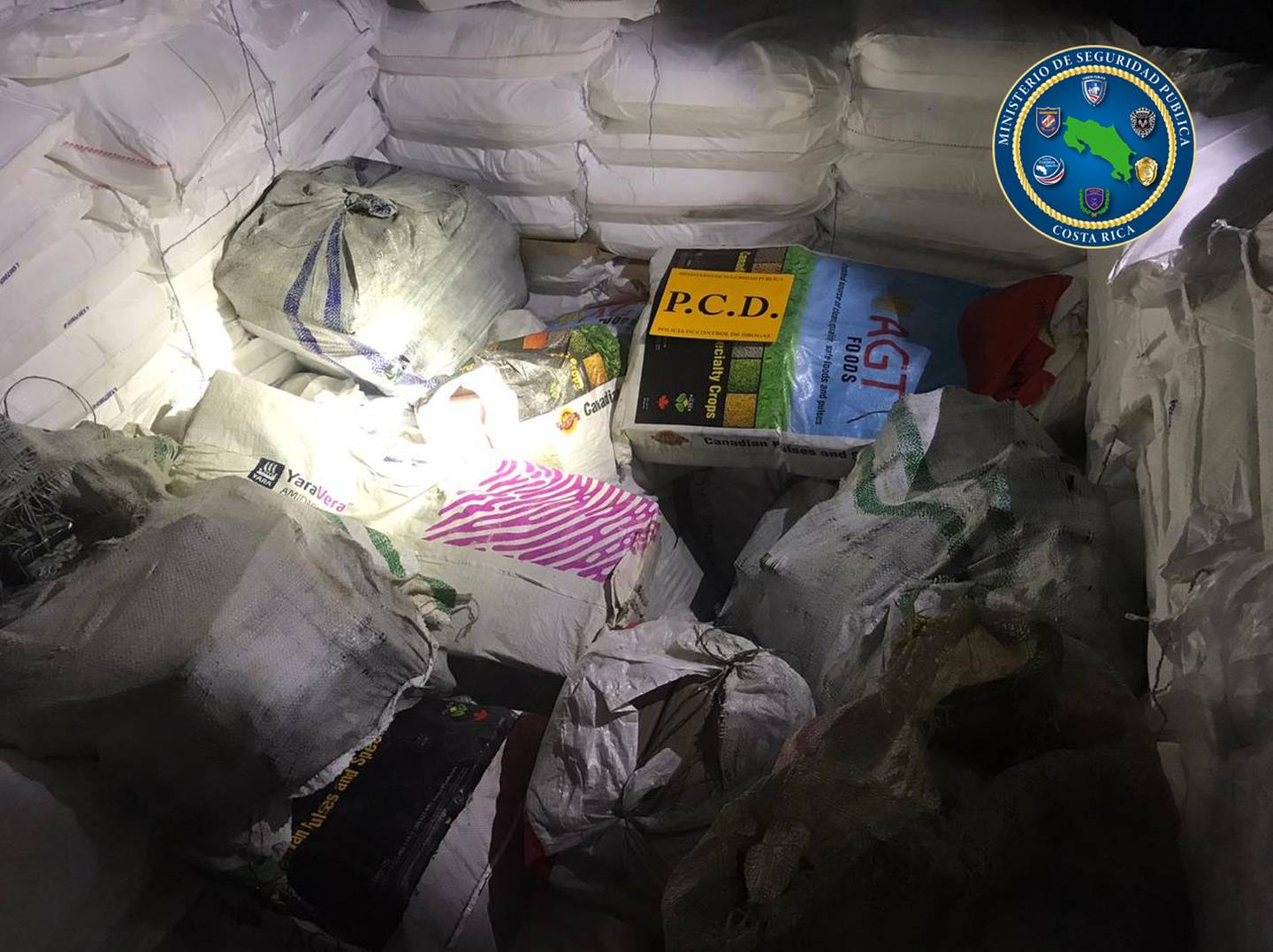 En medio de sacos blancos con sal refinada, los agentes de la PCD dieron con 26 bultos donde iban 778 kilos de cocaína. Foto: MSP.