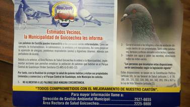 Salud prohíbe actividades en parque de Guadalupe por culpa de las palomas
