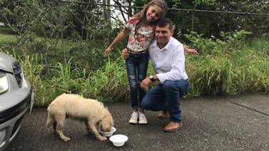 (Video) Niña celebró su cumpleaños alimentando a perros de la calle