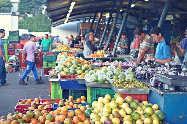 PIMA: un sistema nacional agroalimentario de vanguardia 