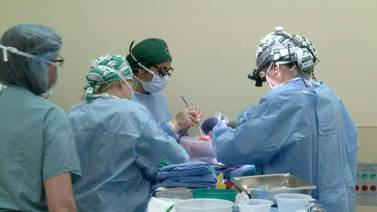 Equipo médico de EE. UU. realiza segundo trasplante de riñón de cerdo a humano