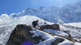 Nepalí escaló las 14 cumbres más altas del mundo en 189 días