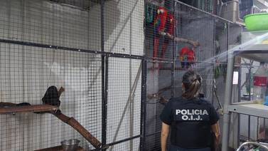 Allanan el Refugio Animal de Costa Rica por inadecuado manejo de animalitos 