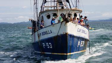 MarViva enciende todas las alarmas ante posible regreso de pesca camaronera de arrastre